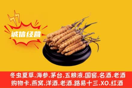 宝鸡岐山县回收冬虫夏草